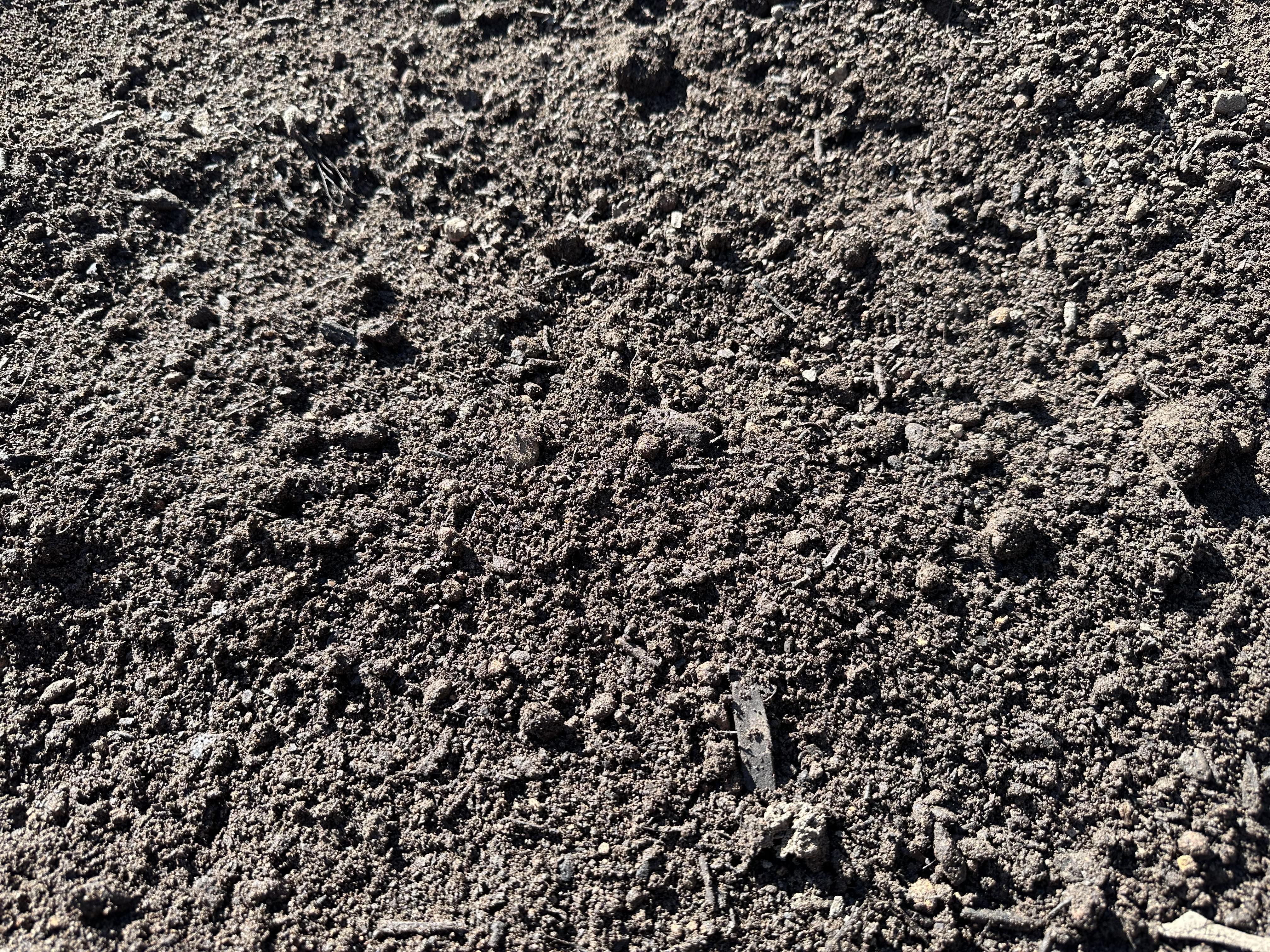 Plain Top Soil